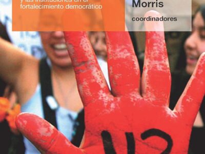 Hacer Justicia En Tiempos De Transición : El Papel Del Activismo Y Las