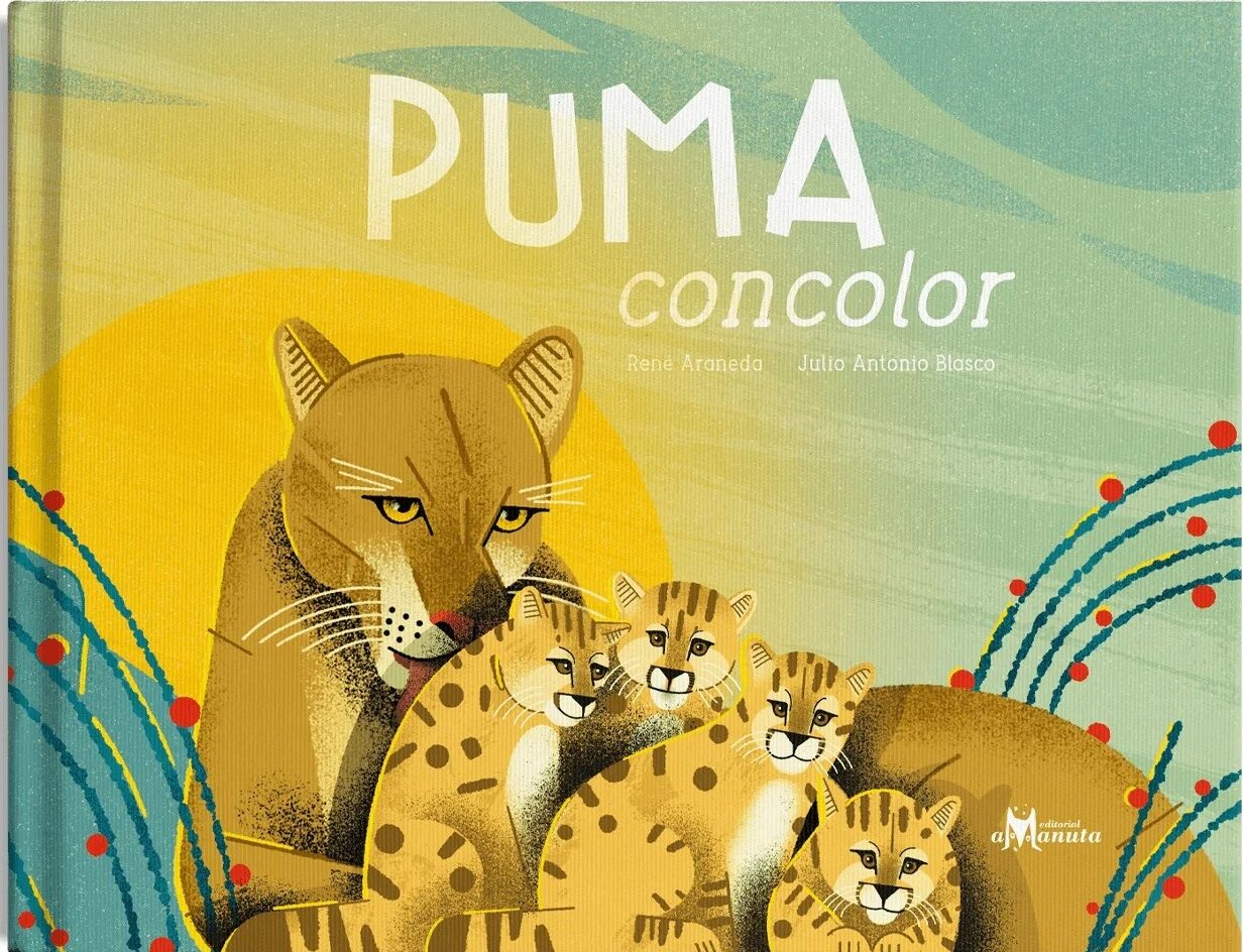 Puma concolor
