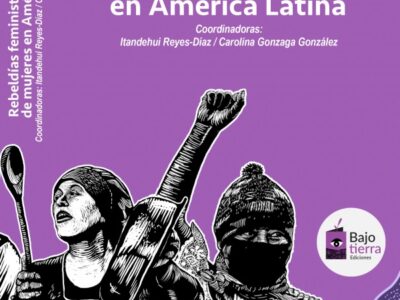 Rebeldías feministas y luchas de mujeres en América Latina