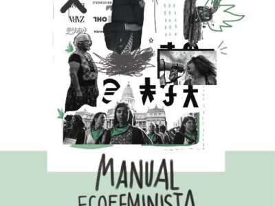 Manual ecofeminista contra el poder