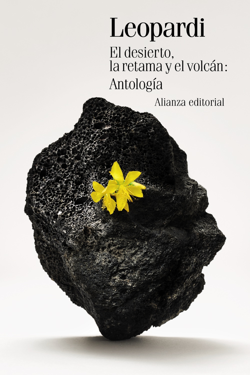 El desierto, la retama y el volcán : antología