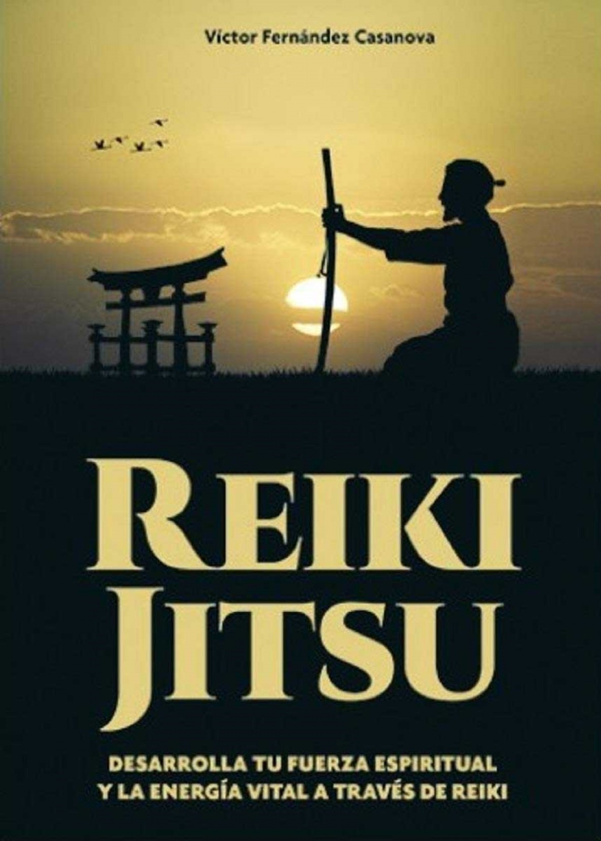 Reiki jitsu : desarrolla tu fuerza espiritual y la energía vital a tra