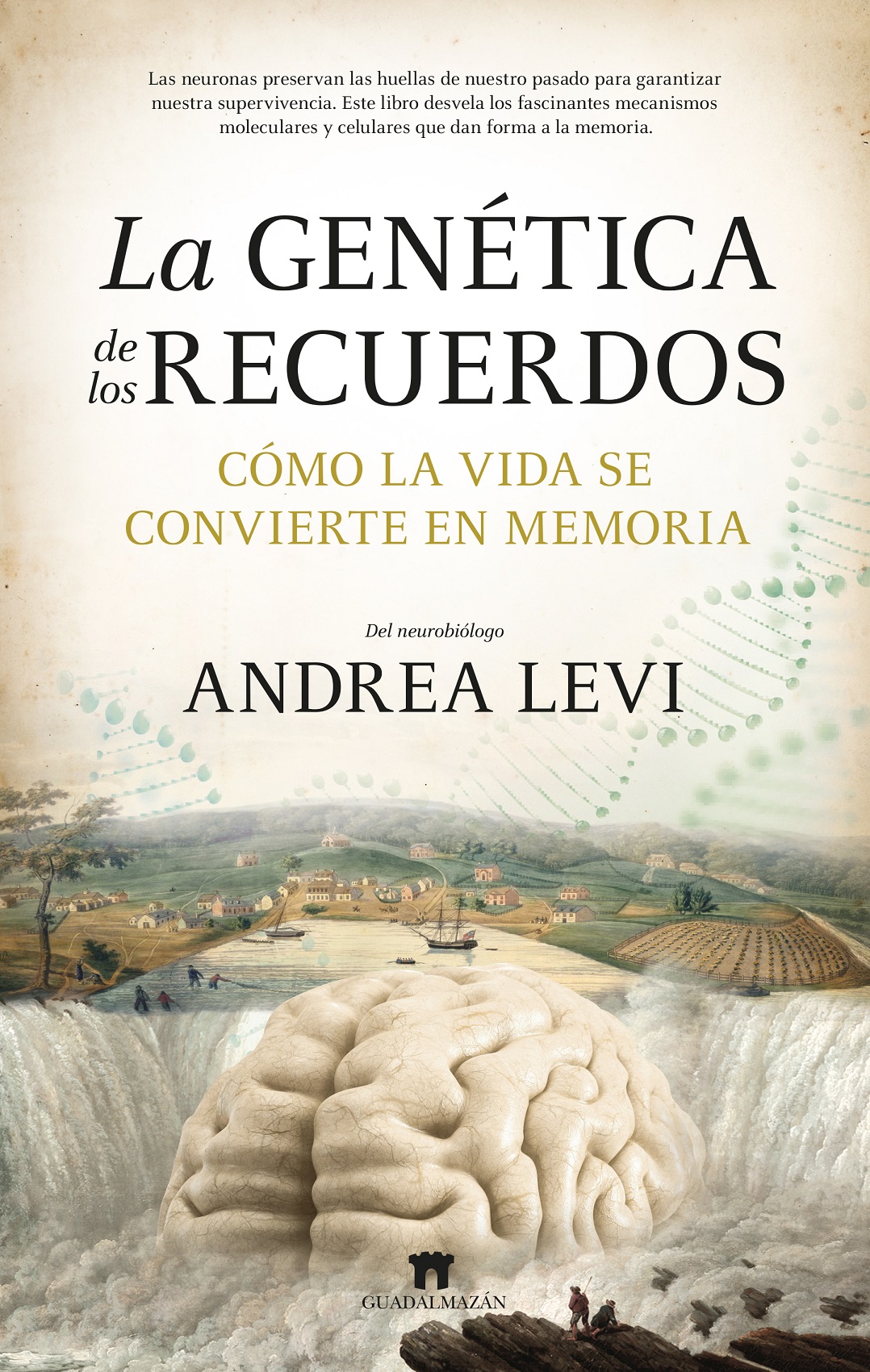 La genética de los recuerdos