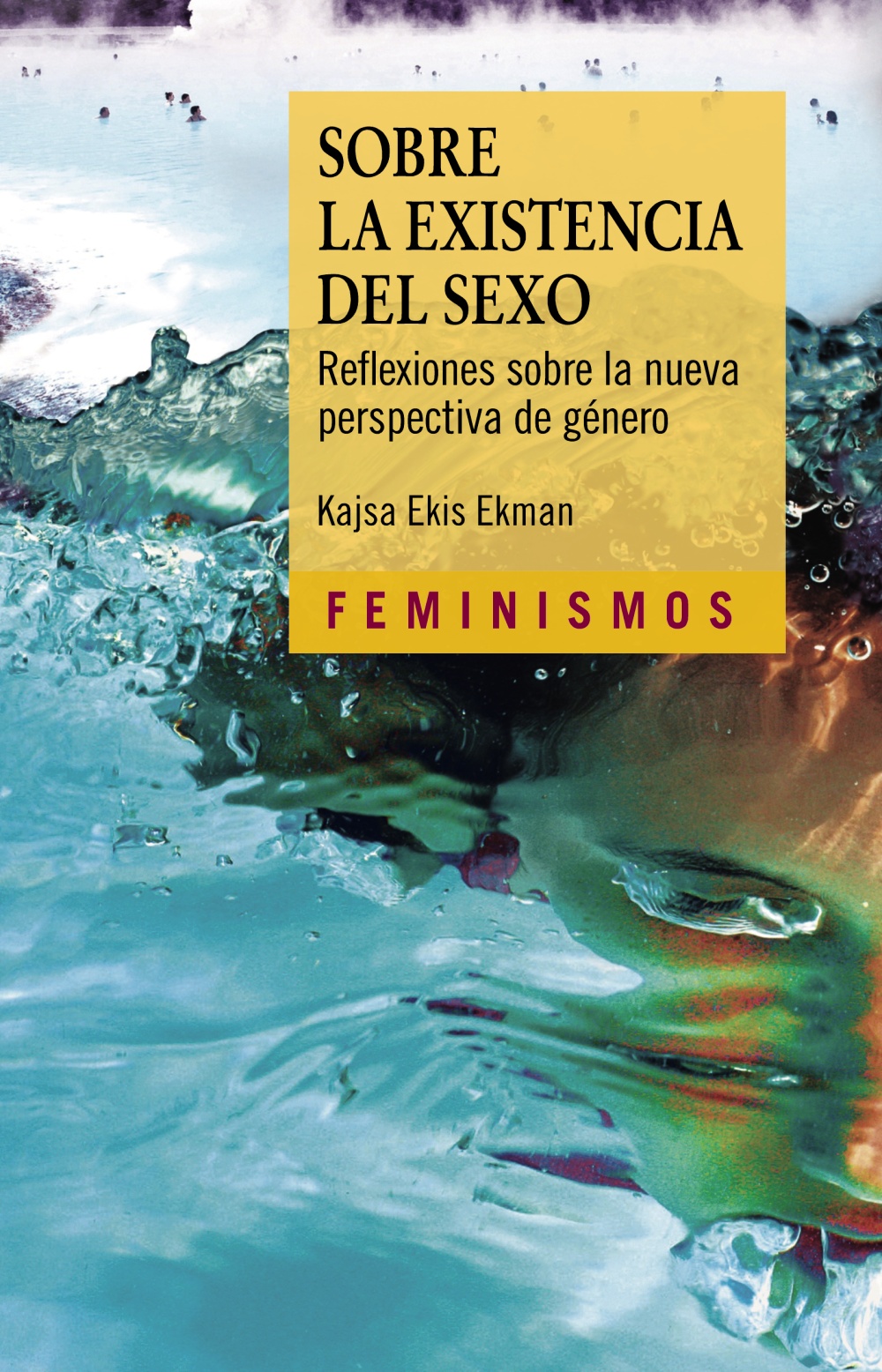 Sobre la existencia del sexo : reflexiones sobre la nueva perspectiva
