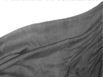 Laicidad y libertad de conciencia