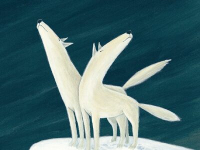 Dos lobos blancos