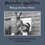 Mundo quiltro : espejo del alma chilena