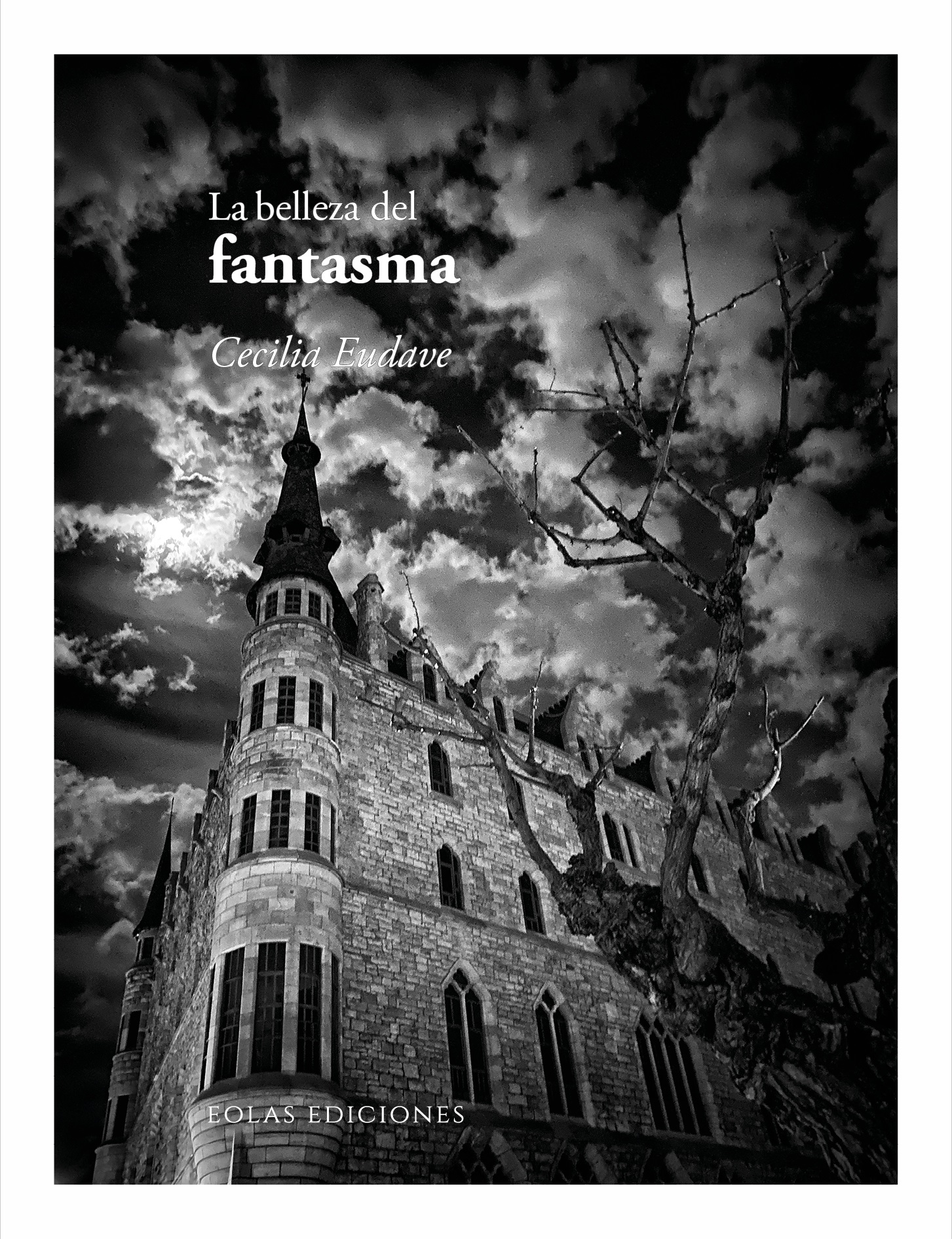 La belleza del fantasma