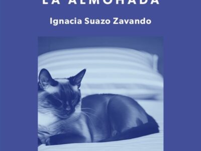 Poemas sobre almohada