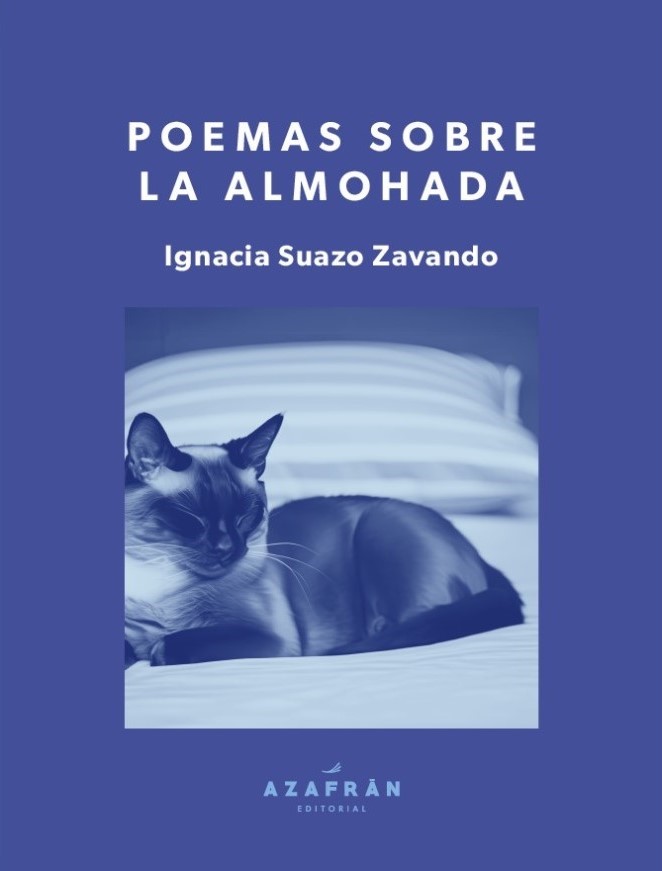 Poemas sobre almohada