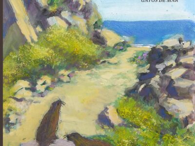 Chungungos : gatos de mar