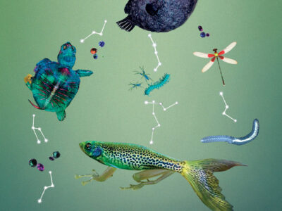 El comienzo del paraíso