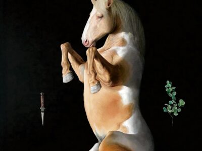 Antes del volcán : los cuentos recuperados