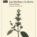 Las hierbas y la tierra