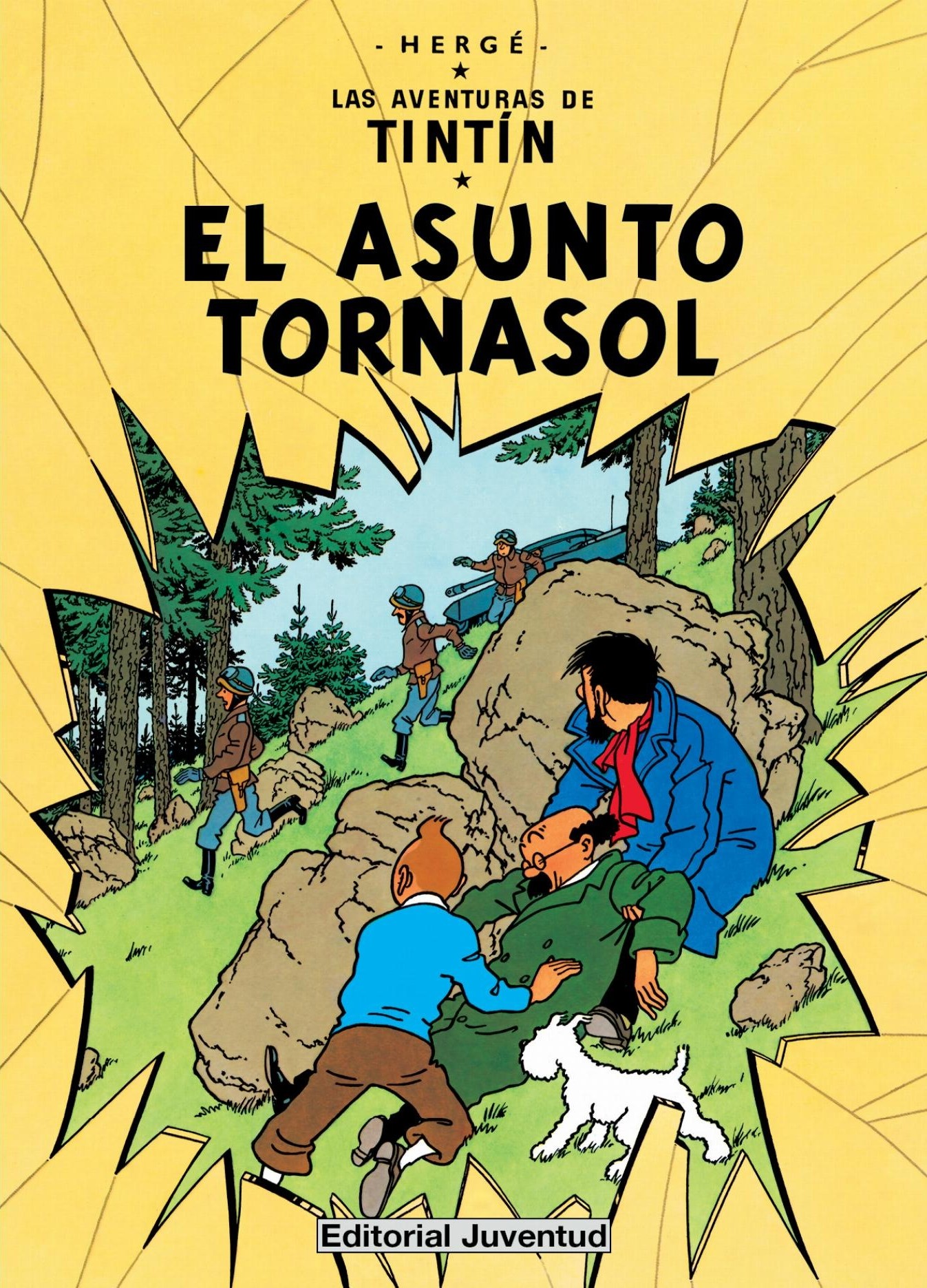 Tintín : el asunto Tornasol (rustica)