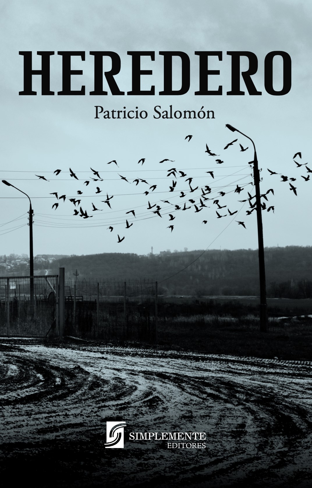 Heredero - Patricio Salomón