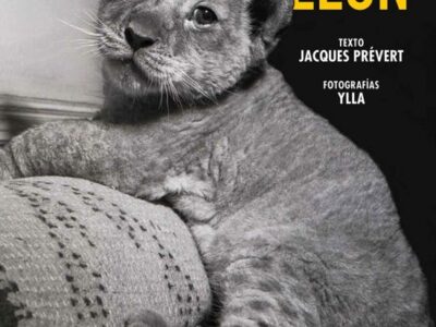 El pequeño león
