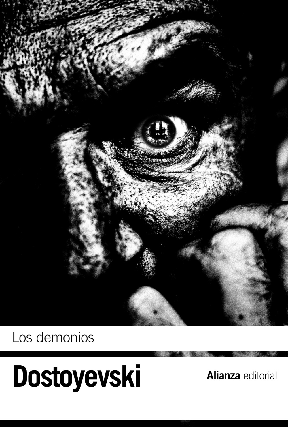 Los demonios - Fiodor Dostoyevsky