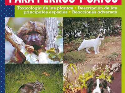 Plantas tóxicas para perros y gatos